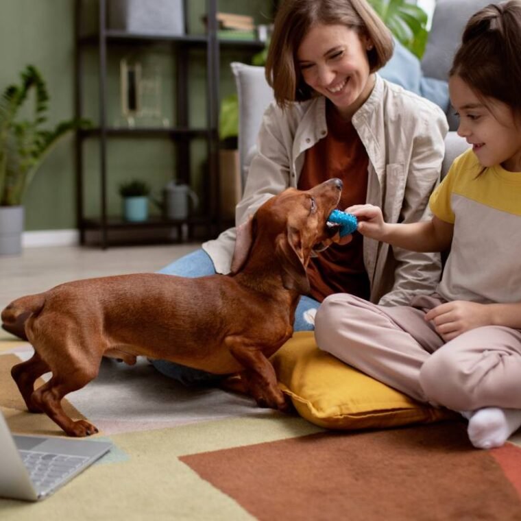 close-up-beautiful-dachshund-spending-time-with-family-min