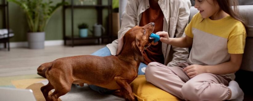 close-up-beautiful-dachshund-spending-time-with-family-min