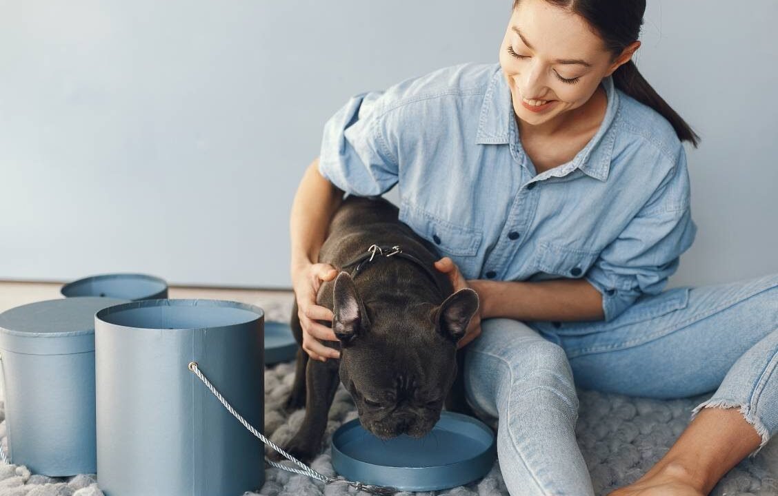 elegant-woman-blue-shirt-with-black-bulldog-min
