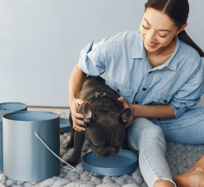 elegant-woman-blue-shirt-with-black-bulldog-min