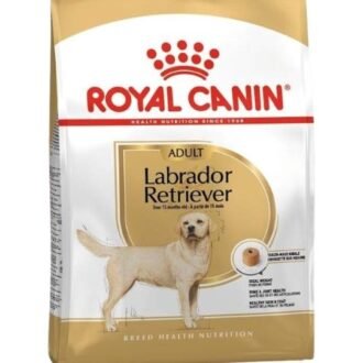 Breed Health Nutrition Adult Labrador Dry Food 12kg