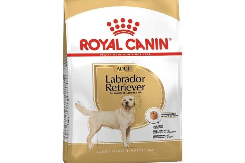 Breed Health Nutrition Adult Labrador Dry Food 12kg