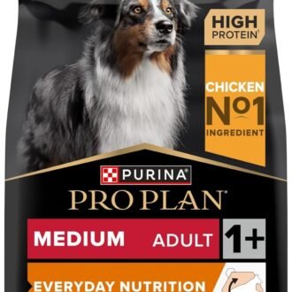 Purina Pro Plan Everyday Nutrition Medium Adult, Dry Dog food with Chicken, 3 kg